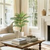 Golden Cane Palm Artificial Tree - 4 of 4