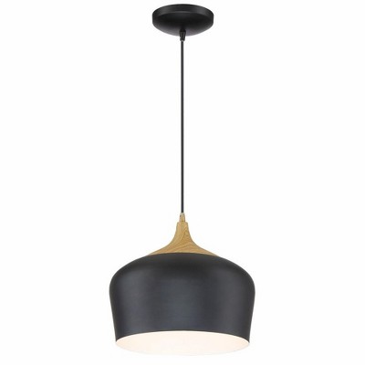 Vintage Globe Black Glass 14" Pendant Light with Incandescent LED