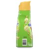 International Delight Pistachio Creamer - 32 fl oz - image 3 of 4