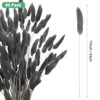Unique Bargains Artificial Dried Flowers Realistic Look Pampas Bunny Tails Grass 17 Inch - 3 of 4
