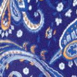 navy folklore paisley