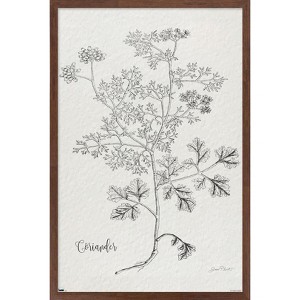 Trends International Jean Plout - Botanical Studies on Paper Coriander Framed Wall Poster Prints - 1 of 4