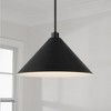 Capital Lighting Alden 1 - Light Pendant in  Matte Black - 4 of 4