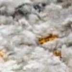 charcoal, medium gray, light gray, off white, rust, mustard