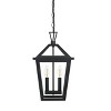 Elegant Lighting Frankford 10 Inch Outdoor Pendant in Black - 2 of 4