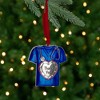 Northlight 3" Silver Plated Blue Scrubs Christmas Ornament with 11 European Crystals - 2 of 3