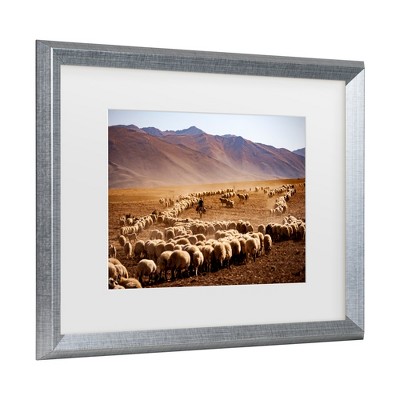 Murat Cacim Silver Framed Desert Sheep Canvas Print