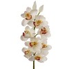 Floral Home 30" Cream Cymbidium Stem - 12-Piece - 2 of 2