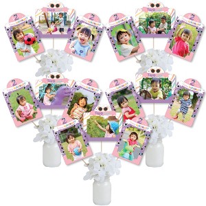 Big Dot of Happiness Two Cool - Girl - Pastel 2nd Birthday Party Picture Centerpiece Sticks - Photo Table Toppers - 15 Pieces - 1 of 4