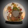 Stony Creek 7.0 Inch Gnomes In Flowers Pre Lit Orb Round Birds Bees Ladybug Novelty Sculpture Lights - 3 of 3
