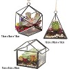 D'Eco Glass Geometric Plant Terrarium 3Pk - Hanging Brass Triangle, House & Prism Planters - Home, Office Decor- Gift for Plant Lovers & Mother's Day - 3 of 4