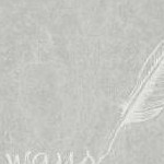 grey feather