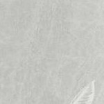 grey feather
