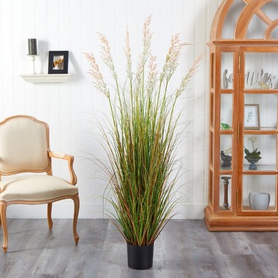 5.5' Multicolor Plum Grass Artificial Plant in Black Pot