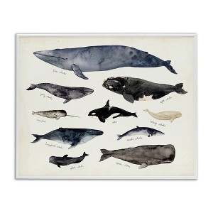 Stupell Industries Vintage Nautical Chart of Whales Ocean Life Framed Giclee Art - 1 of 4