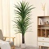 Tree City 6ft Artificial Dracaena Tree - Tall Fake Plant in Black Planter, Realistic Faux Yucca Palm for Home & Office Decor - 3 of 4