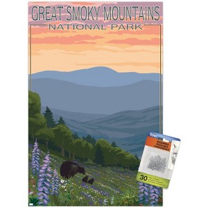 Trends International Lantern Press - Great Smoky Mountains Spring Flowers Unframed Wall Poster Prints - 1 of 4