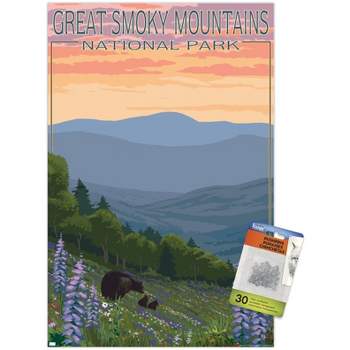 Trends International Lantern Press - Great Smoky Mountains Spring Flowers Unframed Wall Poster Prints