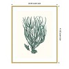 Amanti Art Antique Coastal Coral VIII by Johann Esper Wood Framed Wall Art Print - 4 of 4