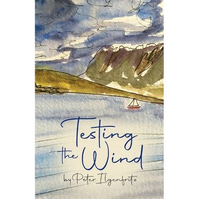 Testing the Wind - by  Peter Ilgenfritz (Paperback)