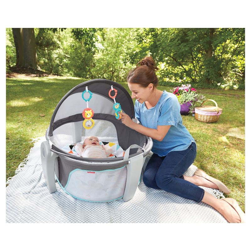 Fisher-Price On-the-Go Baby Dome, 3 of 18