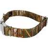 Country Brook Petz Premium Dog Collar - Camouflage Collection - 4 of 4