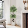 4ft Artificial Ficus Tree for Home Decor, Faux Ficus with White Ceramic Pot, Pebbles & Green Moss, Lifelike Floor Plant for Living Room, Office - 4 of 4