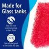 Evergreen Pet Supplies 4 Pack Aquarium Cleaner for Glass Walls - Aquarium Scrubber - H& Held Scraper Pad - Fish Tank Cleaning Sponge - 4 of 4