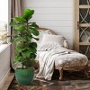 SEVOBAL Planters 3-Piece Modern Ceramic Glossy Flower Pots, Frost-Resistant with Drainage Holes for Indoor, Outdoor, Green, 19.7"*19.7"*17.8" - 4 of 4