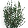 Alilang Dried Floral Bouquet with Pampas Grass, Eucalyptus, and Accents - Beige - 4 of 4