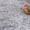 Nourison New Concept Washables Vintage Indoor Area Rug - 3 of 4