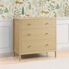 Delta Children Serena 3 Drawer Dresser with Changing Top - 3 of 4