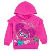 Sesame Street Fleece Pullover Hoodie and Pants Outfit Set Toddler - 3 of 4