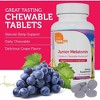 Zahler Junior Melatonin, Supports Restful & Quality Sleep, Natural Grape Flavor, Kosher Dietary Supplement - 120 Chewable Tablets - 3 of 4