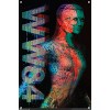 Trends International DC Comics Movie - Wonder Woman 1984 - Cheetah Graphic Unframed Wall Poster Prints - 4 of 4
