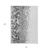 Gray Silver And Charcoal Abstract Washable Indoor Outdoor Area Rug - 3 of 4