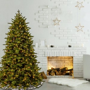 National Tree Company 7.5' PreLit LED Feel Real Princeton Deluxe Fraser Fir Hinged Artificial Christmas Tree - 1 of 2