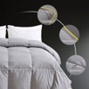 APSMILE Queen Size Feather Down Comforter-All Season Duvet Insert-Bed Comforter with Piping-Hotel Bedding Comforters 90"x90" - 4 of 4