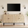 Rattan Storage Sideboard, Kitchen Cabinet with 2 Doors, Modern Style Storage Unit, 80 x 40 x 83 cm, Furniture for Living Room, Kitchen - 4 of 4