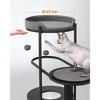 Feandrea by SONGMICS HOME Modern Cat Tree, Heavy Duty Cat Tower, Steel Tube and Particleboard, Platform with Cushion, Sisal Cat Scratching Post - 4 of 4
