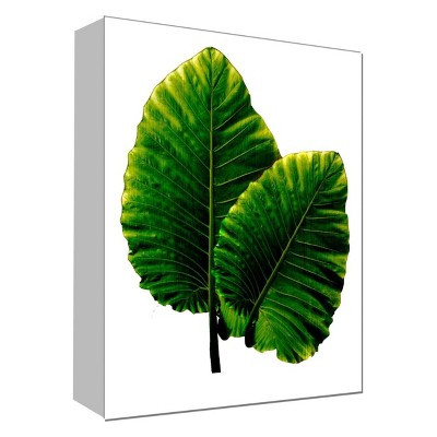 11" x 14" Fresh Leaf Decorative Wall Art - PTM Images