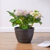VECELO 9/11.3/13 in. Planters, Plastic Pot with Perforated Tray, Decorative Foliage Plants, Vintage Planters 3-Piece Set, Artificial Wood Planters - 3 of 4