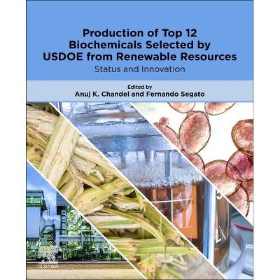 Production of Top 12 Biochemicals Selected by Usdoe from Renewable Resources - by  Anuj K Chandel & Fernando Segato (Paperback)