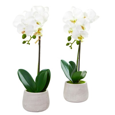 Nearly Natural Phalaenopsis Orchid Artificial Arrangement (Set of 2)