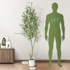 Tall Faux Olive Tree，5/6/7ft（60/72/84in） Tall Faux Olive Tree with White Planter and Green Fake Moss , 1 o r 2 Pack - 2 of 4
