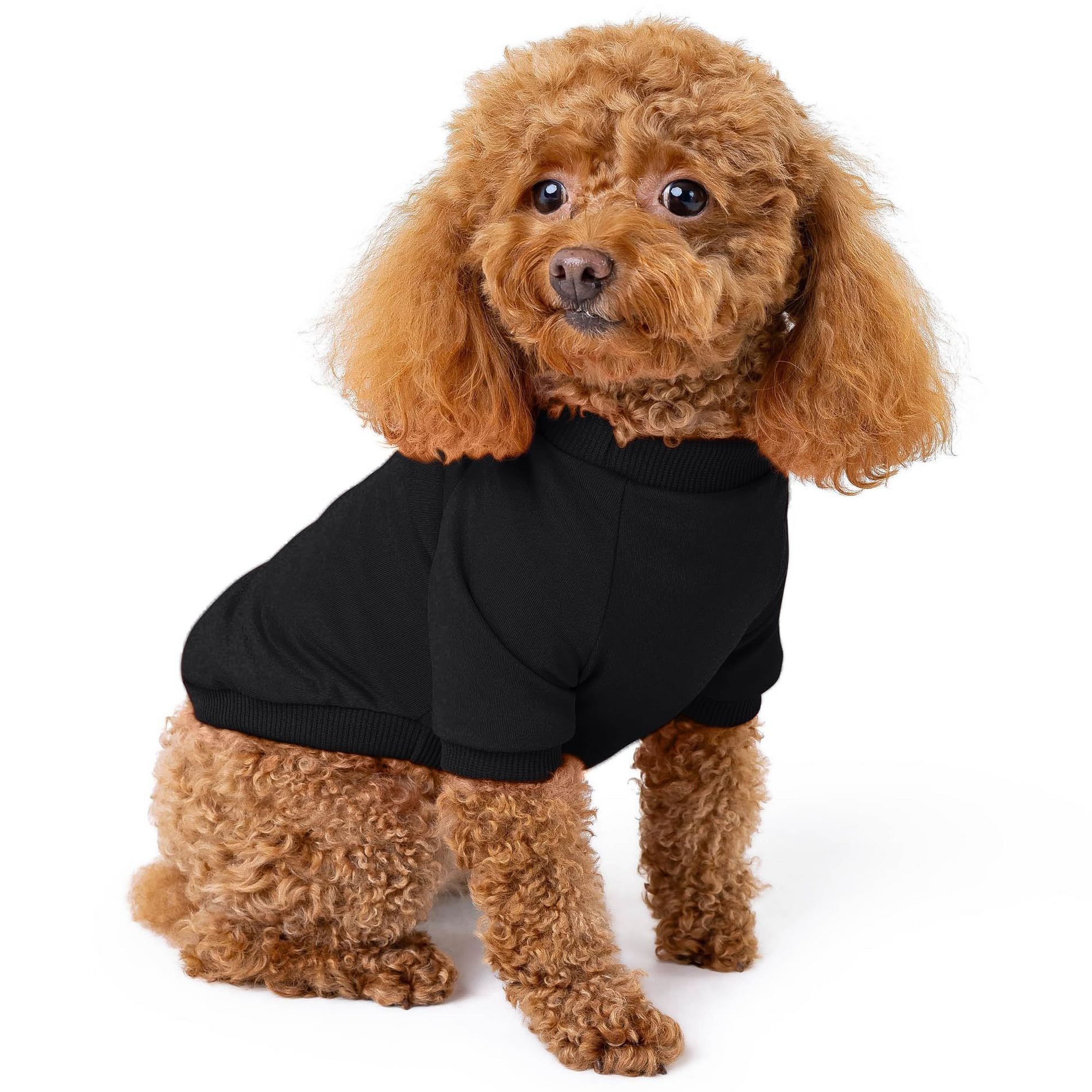 Rocky Thermal Fleece-Lined PET Sweater for Dogs, Puppies, Cats - Warm Coat Bodysuit One-Piece Jacket, Jammies with Leg Warmers