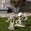 Pig Skeleton Halloween Decorative Prop - Hyde and EEK! Boutique™ - 2 of 3