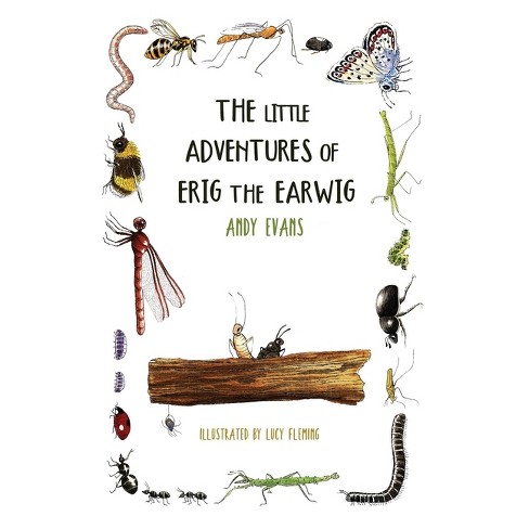 The Little Adventures of Erig the Earwig - by  Andy Evans (Paperback) - image 1 of 1