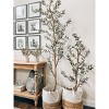 Nearly Natural 18-in Olive Silk Tree with Vase (Set of 2) - 4 of 4