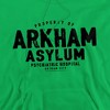 Batman Arkham Asylum Adult Pull-Over Hoodie - image 2 of 4